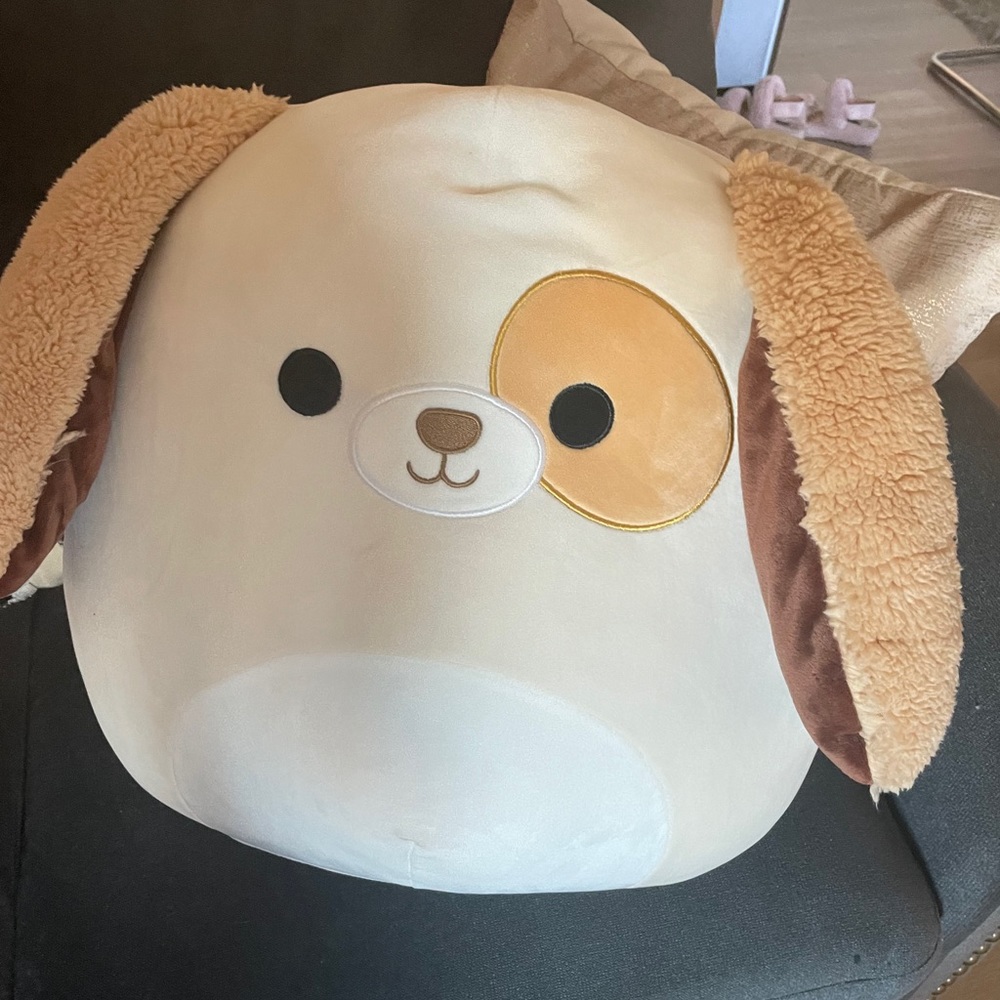 harrison the dog squishmallow NWT